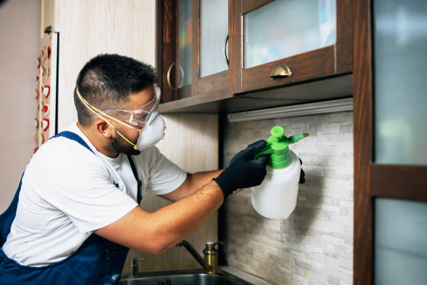Best Flea Control Services  in Laurinburg, NC