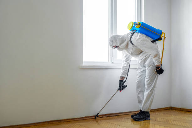 Best Affordable Pest Control Services  in Laurinburg, NC
